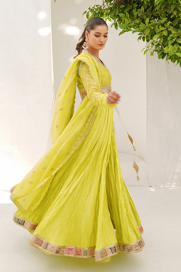 Lime radiance
